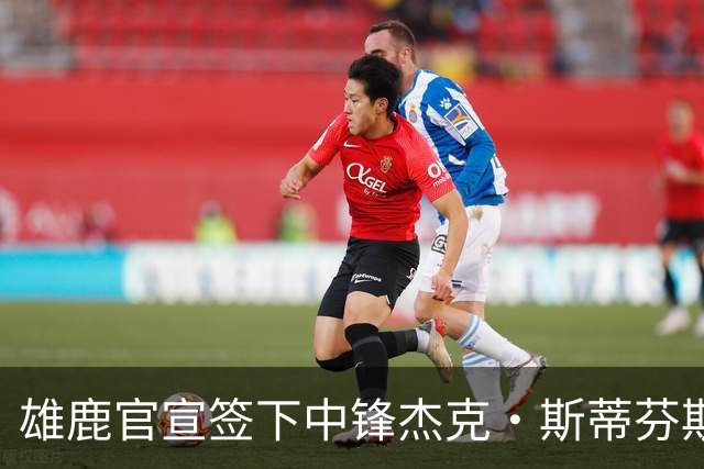 雄鹿官宣签下中锋杰克·斯蒂芬斯！上赛季效力克罗地亚联赛球队！